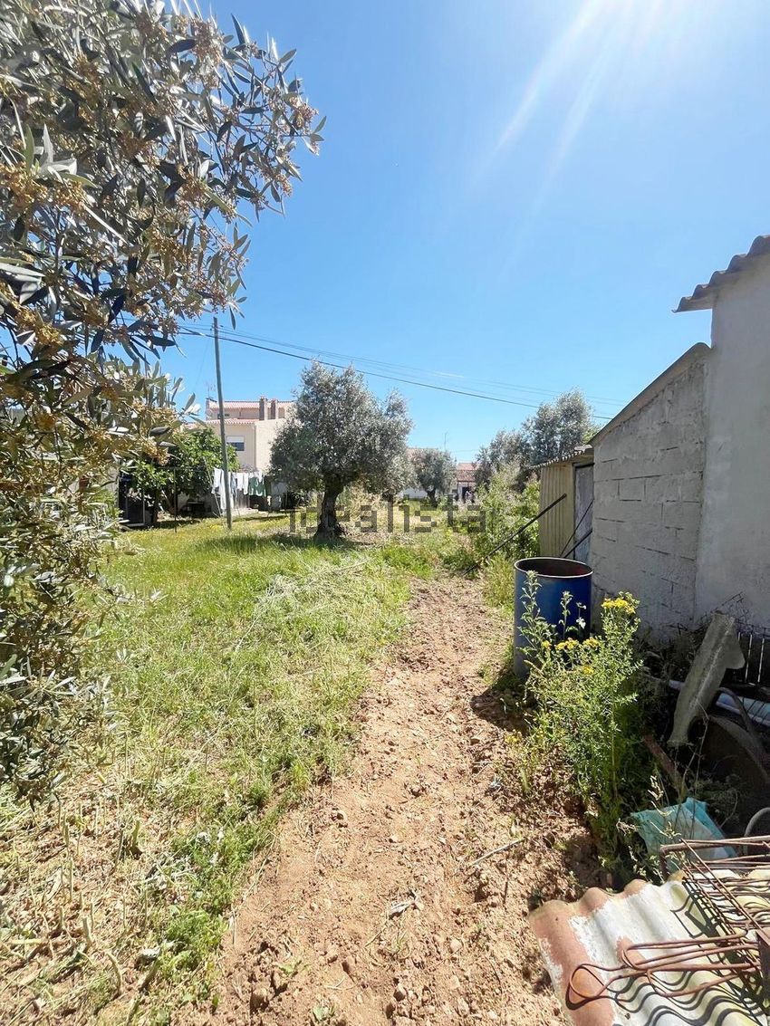 Moradia T2 à venda em Aldeia do Mato e Souto, Abrantes — foto 5