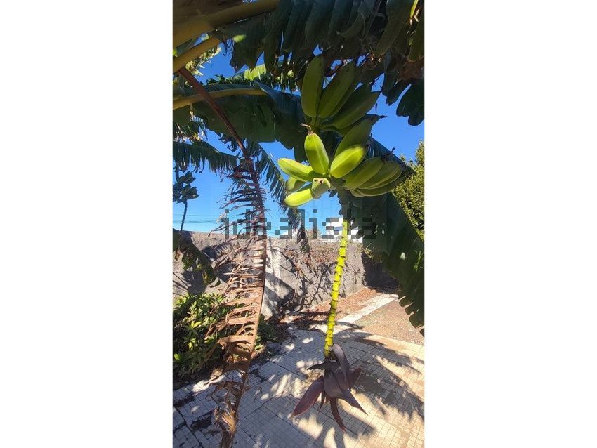 Moradia T3 à venda em Alcabideche, Cascais — foto 35