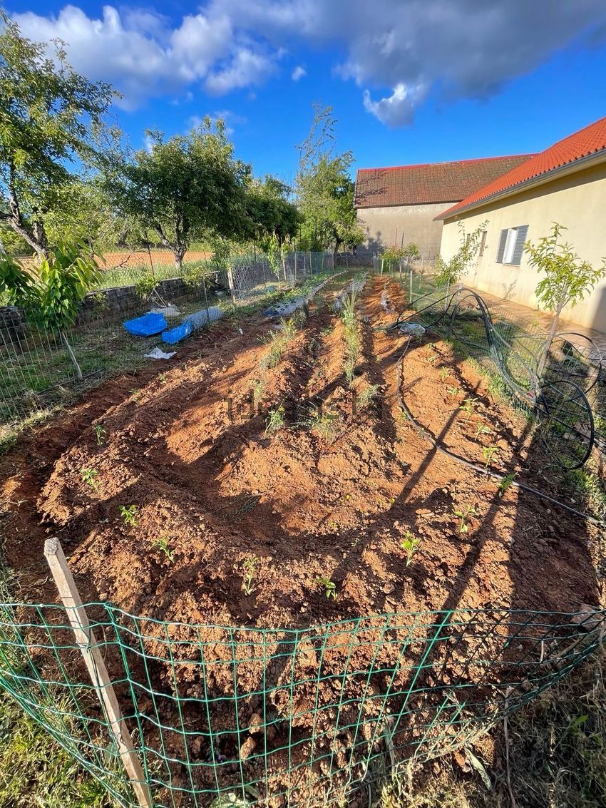 Moradia T3 à venda em Salsas, Bragança — foto 3