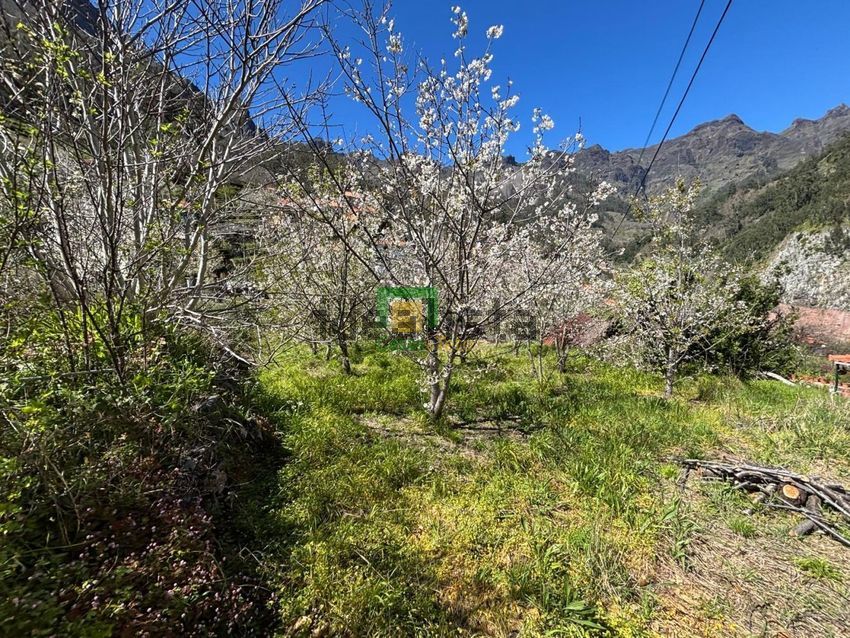 Moradia T1 à venda em Curral das Freiras, Câmara de Lobos — foto 9