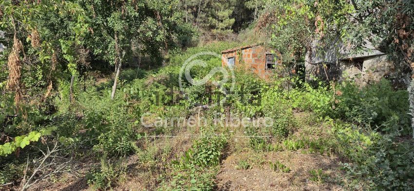 Moradia T4 à venda em Santa Cruz do douro e São Tomé de Covelas, Baião — foto 4