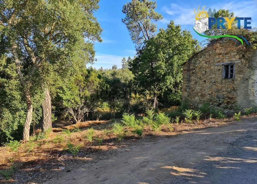 Moradia T0 à venda em Castelo, Sertã — foto 6