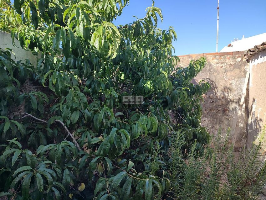 Moradia T3 à venda em Budens, Vila do Bispo — foto 3