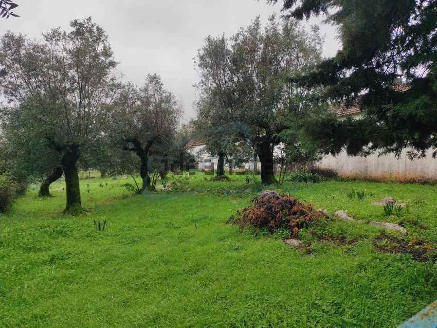 Moradia T4 à venda em Arrimal e Mendiga, Porto de Mós — foto 32
