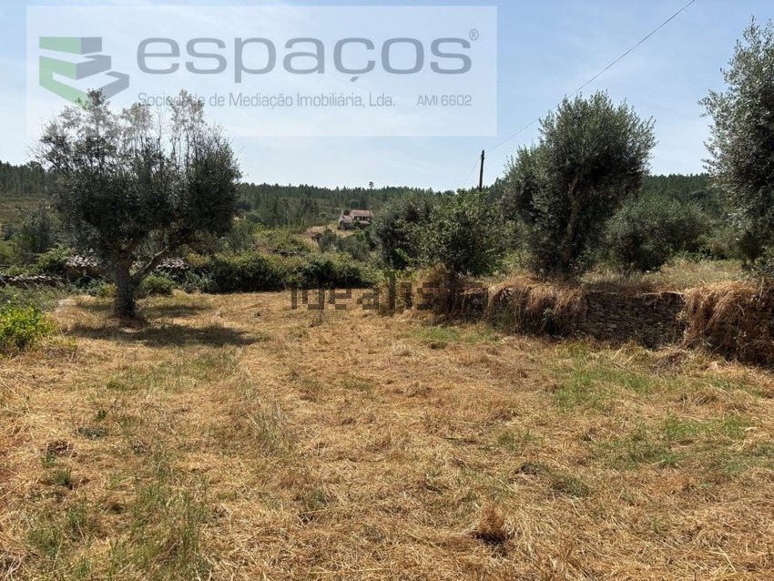 Moradia T3 à venda em Santo André das Tojeiras, Castelo Branco — foto 27