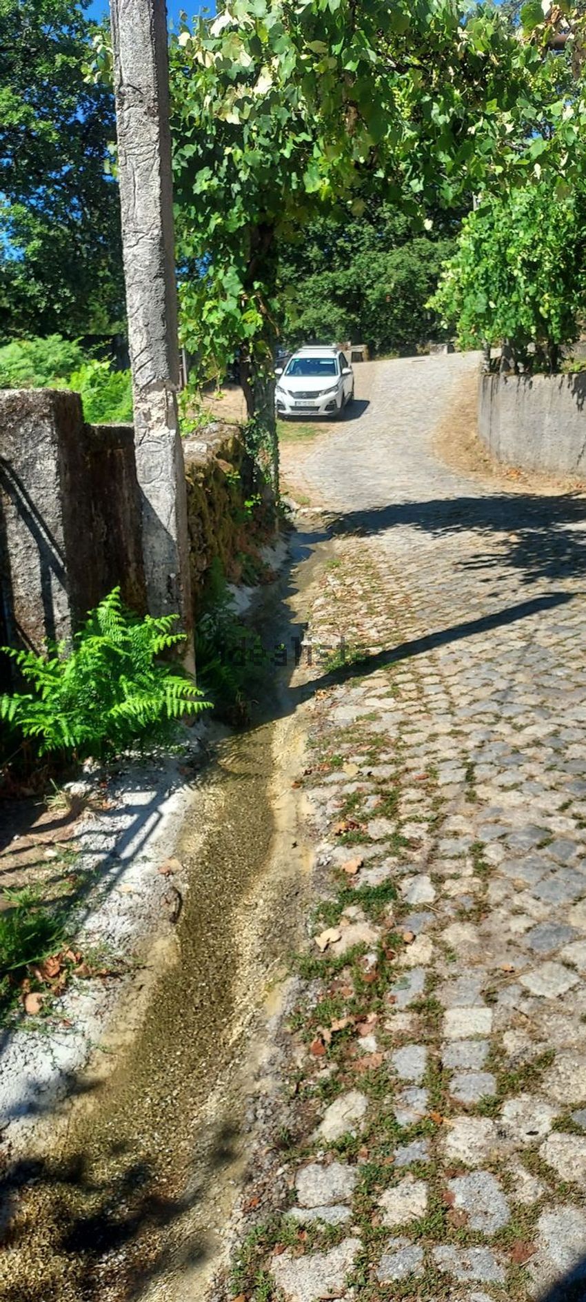 Moradia T0 à venda em Reigoso, Montalegre — foto 8