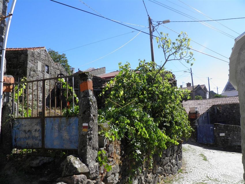 Moradia T0 à venda em Fornelo do Monte, Vouzela — foto 3