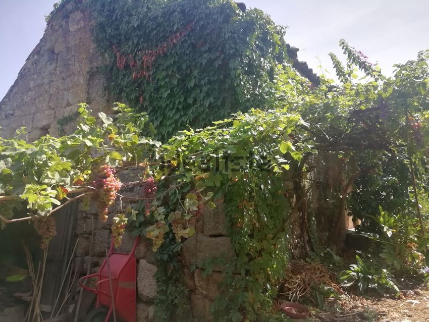 Moradia T3 à venda em Travanca de Lagos, Oliveira do Hospital — foto 32