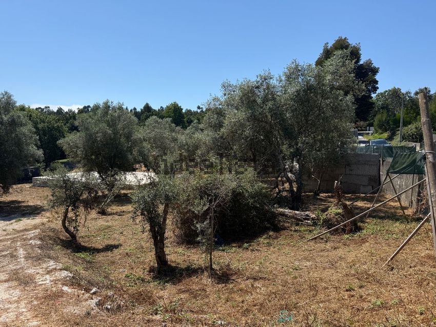 Moradia T3 à venda em Vilar de Mouros, Caminha — foto 14