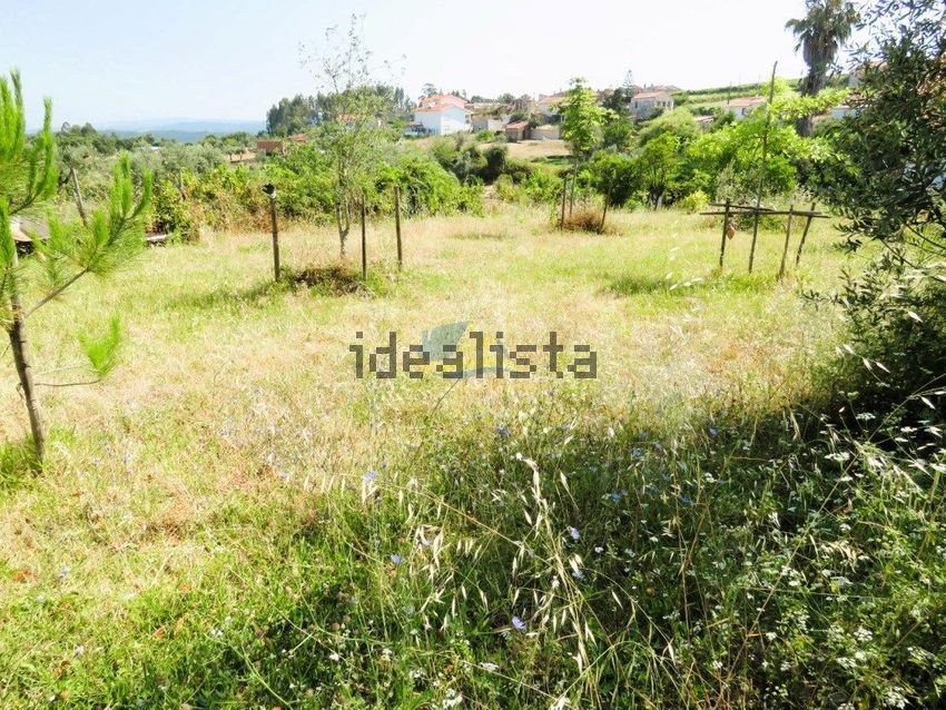 Moradia T4 à venda em Lamas, Miranda do Corvo — foto 29