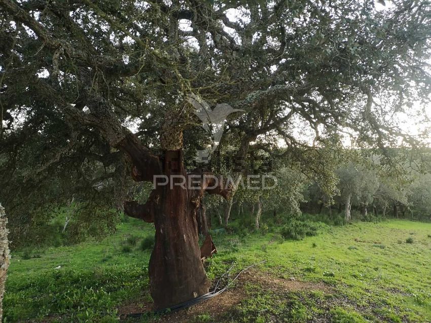 Moradia T5 à venda em Santiago do Cacém, Santa Cruz e São Bartolomeu da Serra, Santiago do Cacém — foto 13