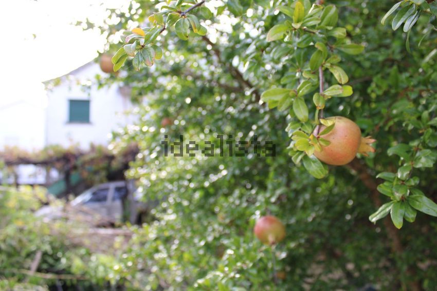 Moradia T0 à venda em Vila do Carvalho, Covilhã — foto 9