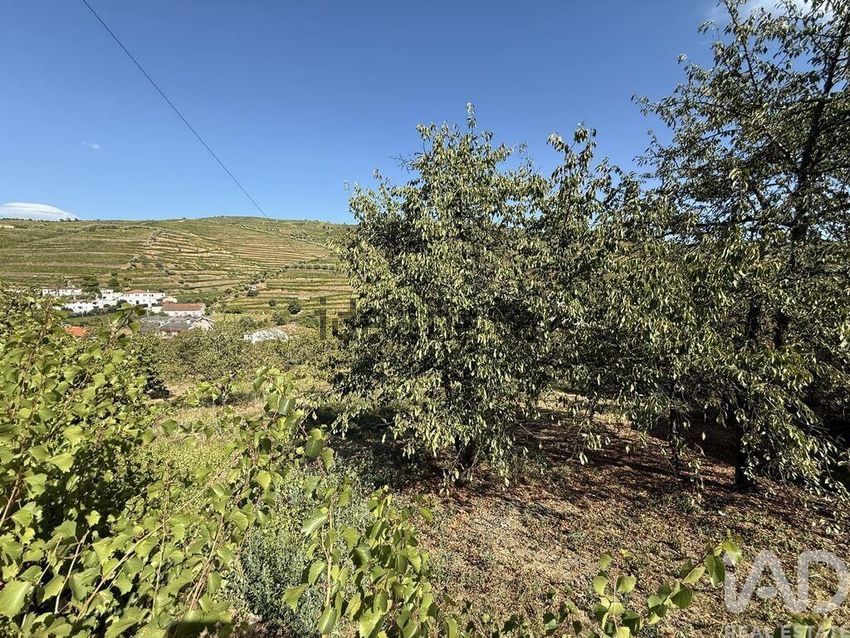 Moradia T2 à venda em Peso da Régua e Godim, Peso da Régua — foto 19