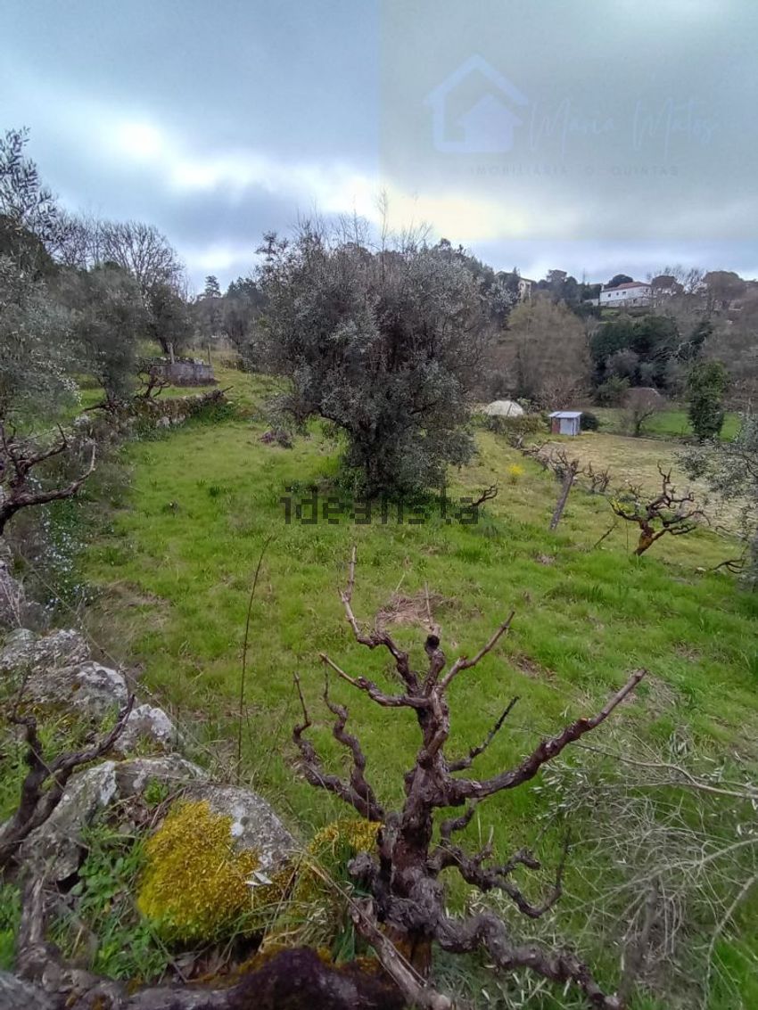 Moradia T2 à venda em Quintela de Azurara, Mangualde — foto 25