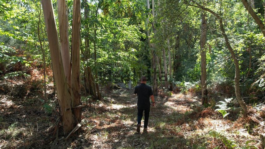 Moradia T5 à venda em Arcozelo, Ponte de Lima — foto 16