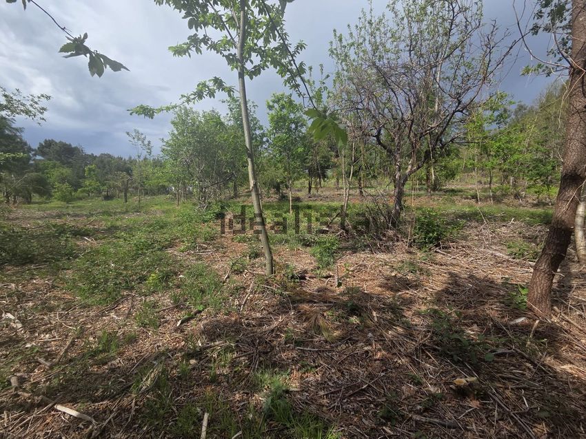 Moradia T1 à venda em São Gião, Oliveira do Hospital — foto 32
