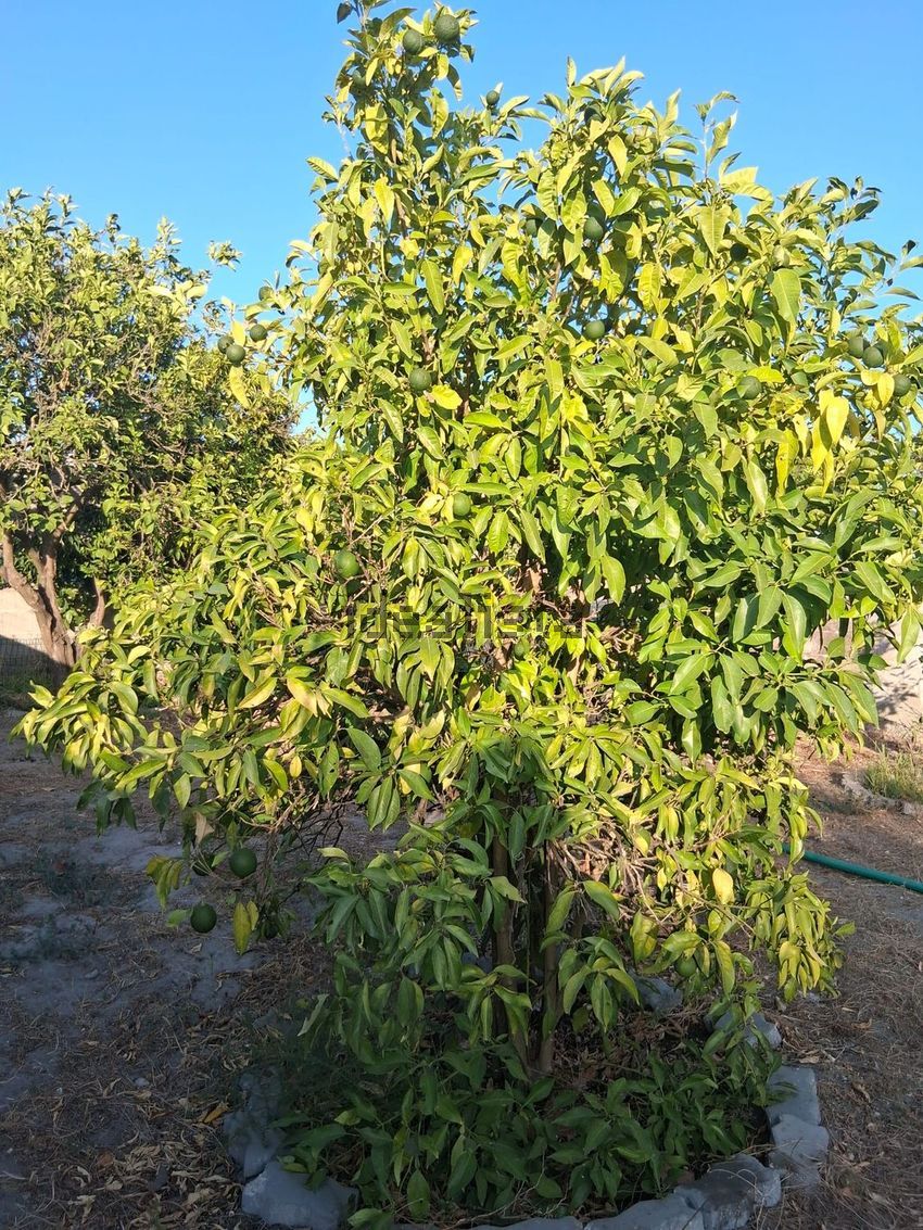 Moradia T3 à venda em Muge, Salvaterra de Magos — foto 23