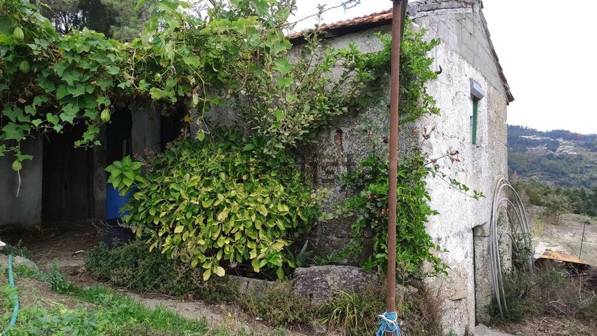 Moradia T0 à venda em Santa Cruz do douro e São Tomé de Covelas, Baião — foto 13