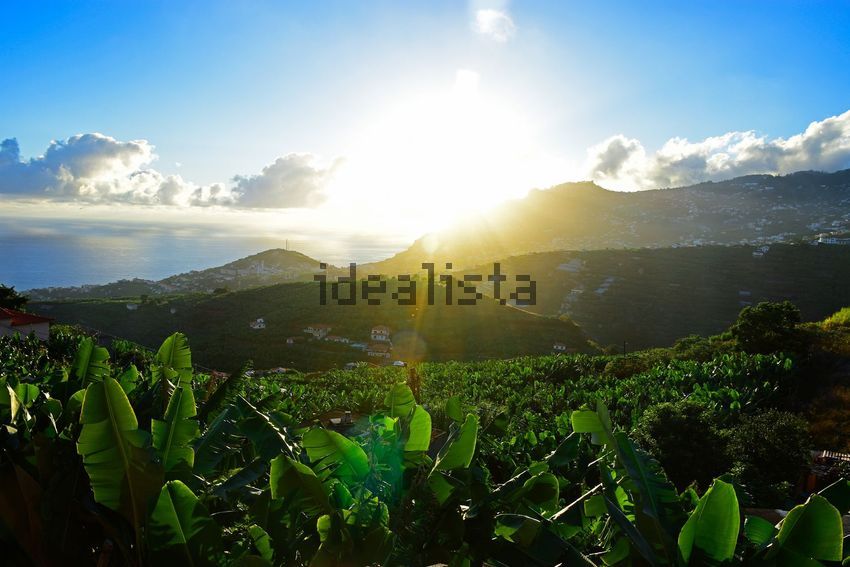 Moradia T4 à venda em Santo António, Funchal — foto 16
