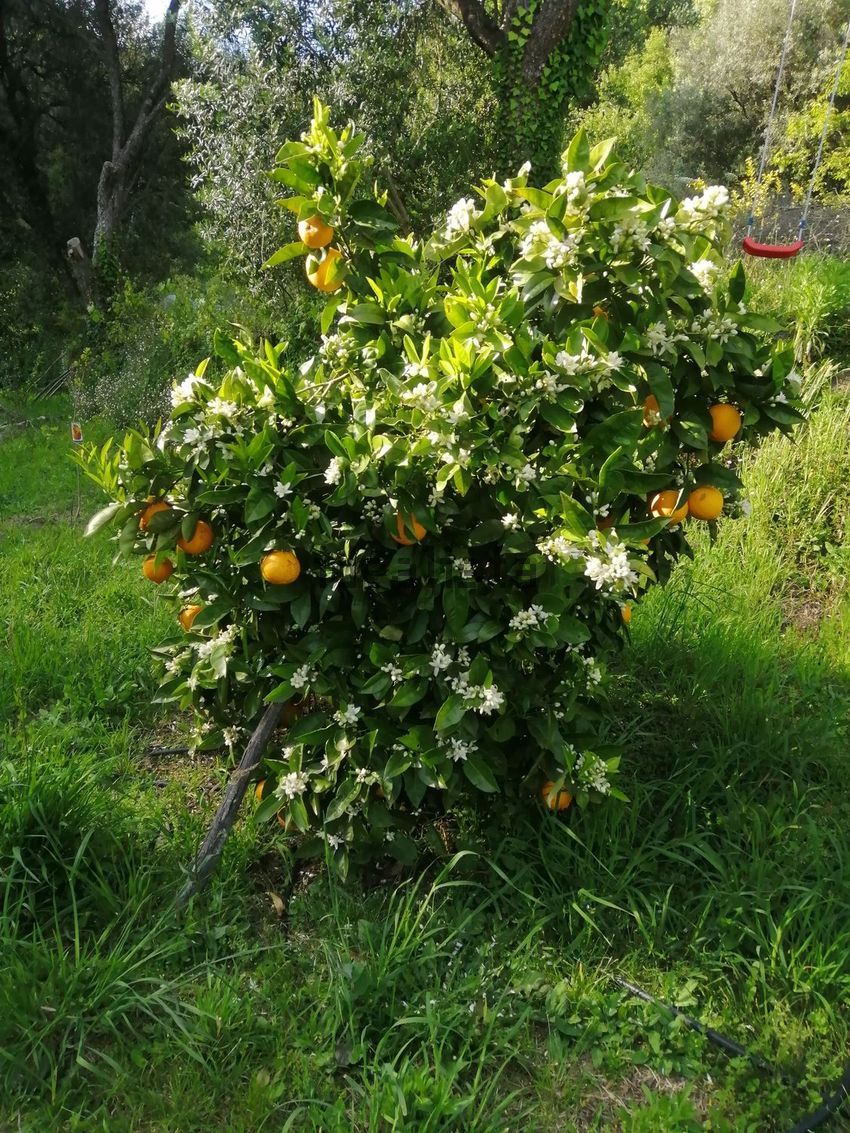 Moradia T2 à venda em Távora (Santa Maria e São Vicente), Arcos de Valdevez — foto 25