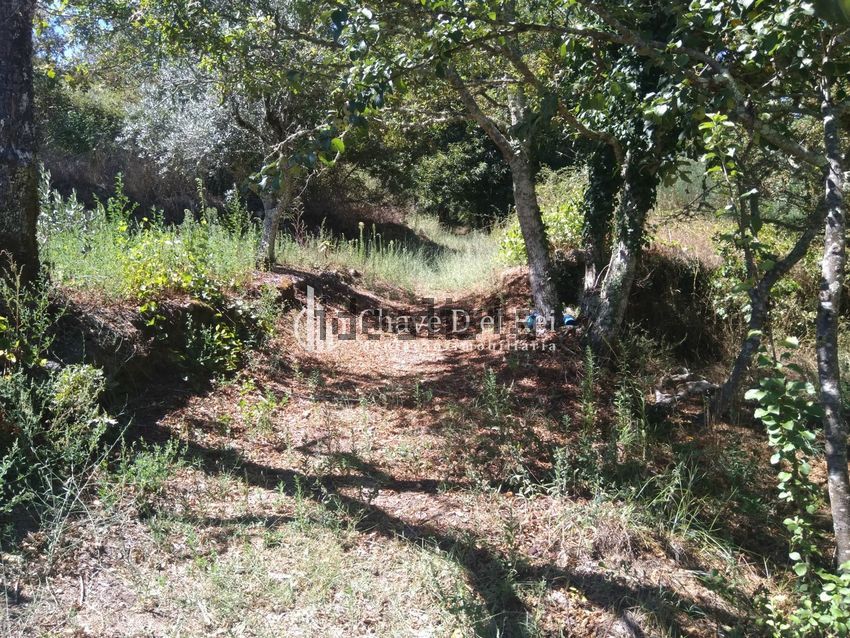 Moradia T5 à venda em Santos Evos, Viseu — foto 39
