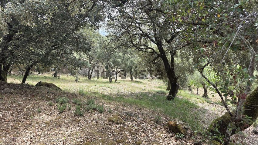 Moradia T4 à venda em Areias e Pias, Ferreira do Zêzere — foto 29