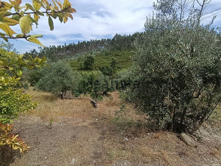 Moradia T5 à venda em Carvalhal, Abrantes — foto 28