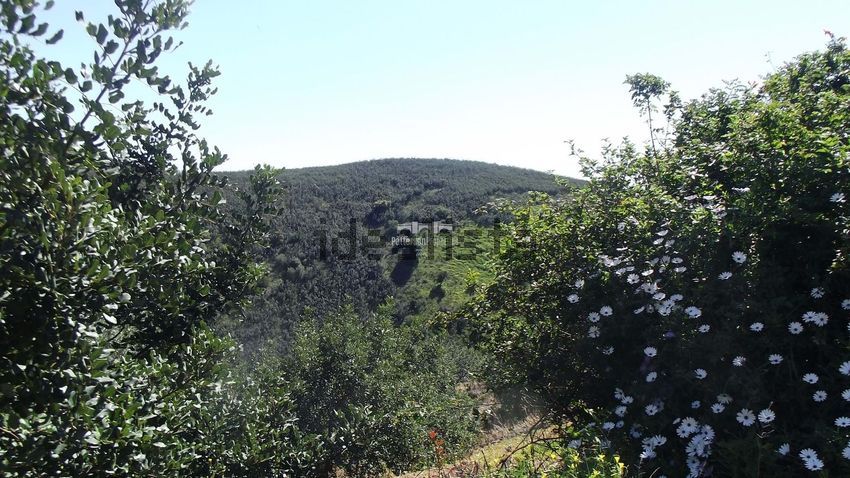 Moradia T1 à venda em Tavira (Santa Maria e Santiago), Tavira — foto 25