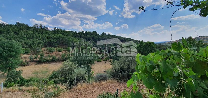 Moradia T6+ à venda em Aveleda e Rio de Onor, Bragança — foto 27