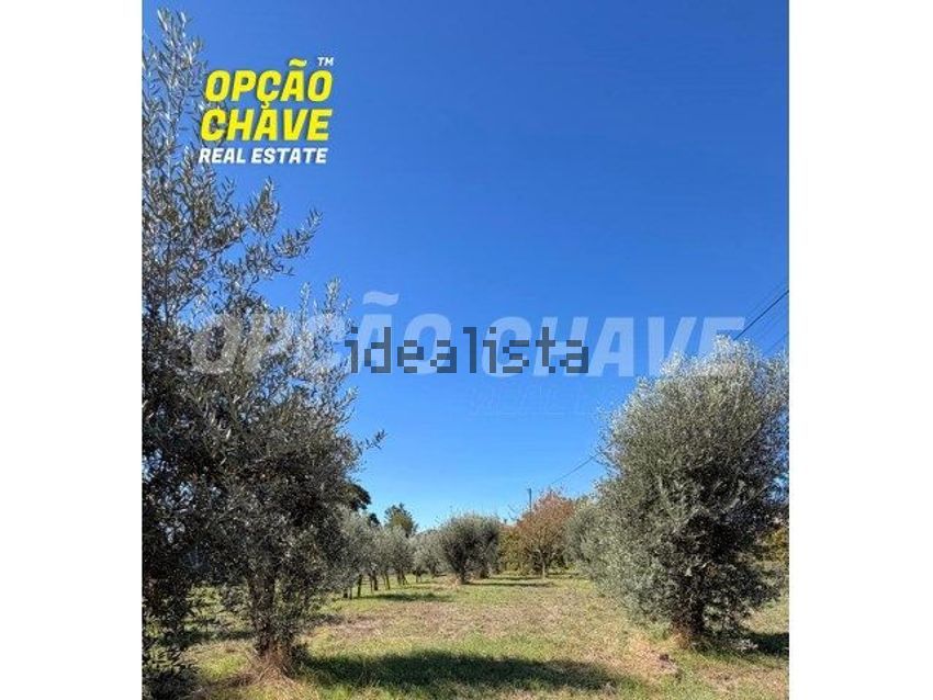 Moradia T2 à venda em Cavernães, Viseu — foto 2