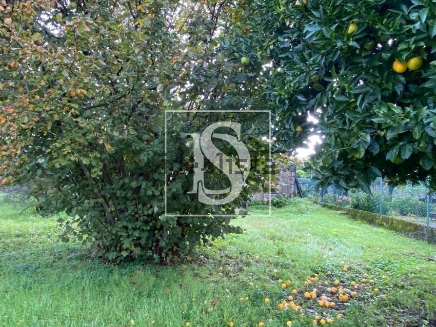 Moradia T1 à venda em Tondela e Nandufe, Tondela — foto 20