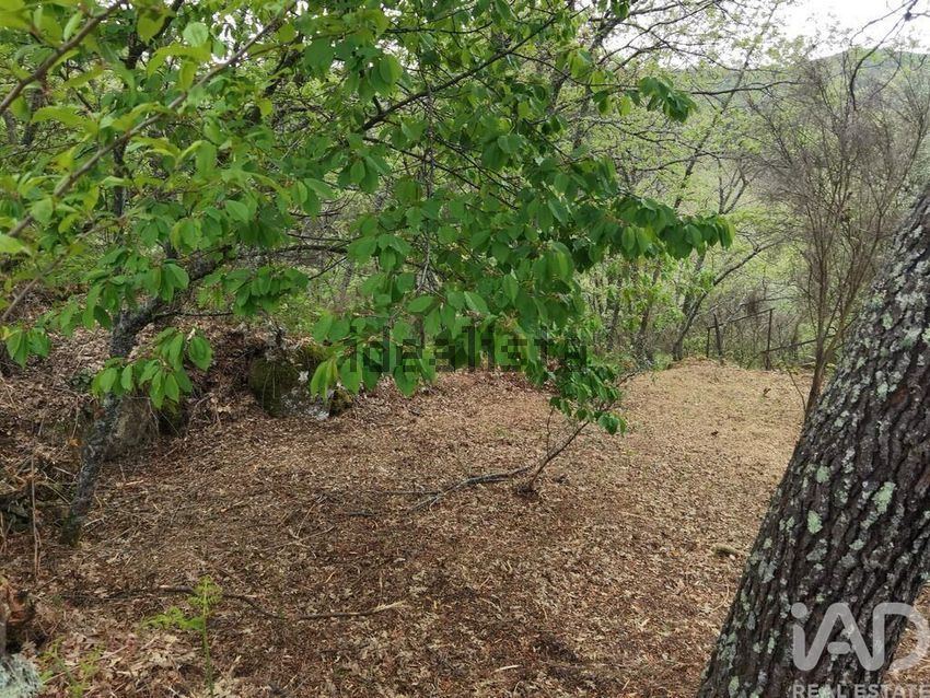 Moradia T2 à venda em Aldeias e Mangualde da Serra, Gouveia — foto 14