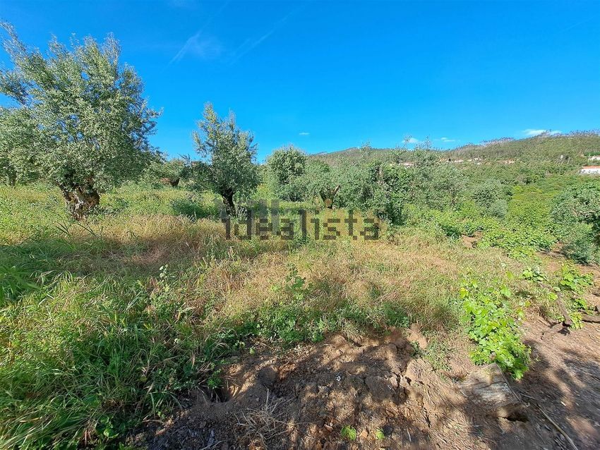 Moradia T4 à venda em Casais e Alviobeira, Tomar — foto 33