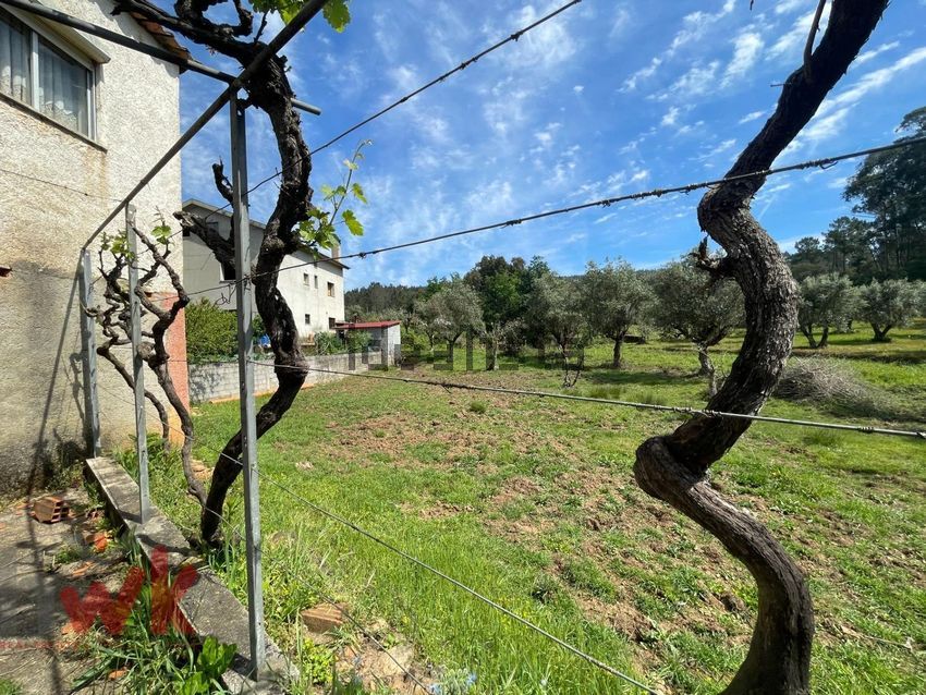 Moradia T3 à venda em Sarzedo, Arganil — foto 21