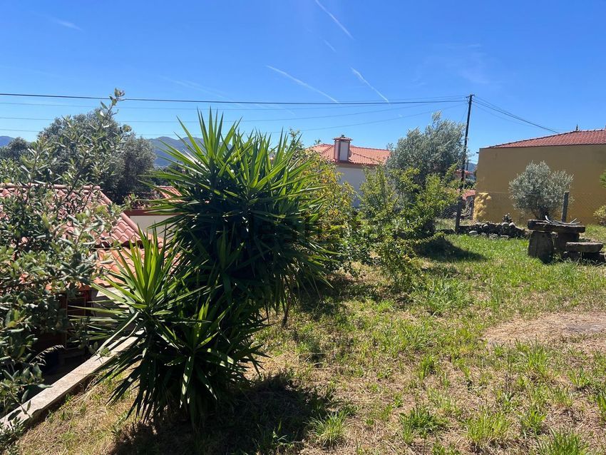 Moradia T2 à venda em São Pedro D'Arcos, Ponte de Lima — foto 3