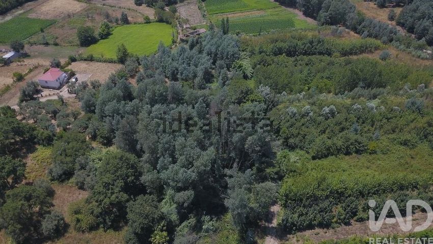 Moradia T0 à venda em Serpins, Lousã — foto 16