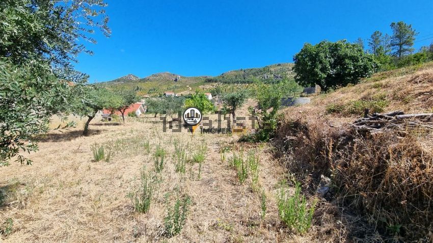 Moradia T5 à venda em Estreito-Vilar Barroco, Oleiros — foto 17