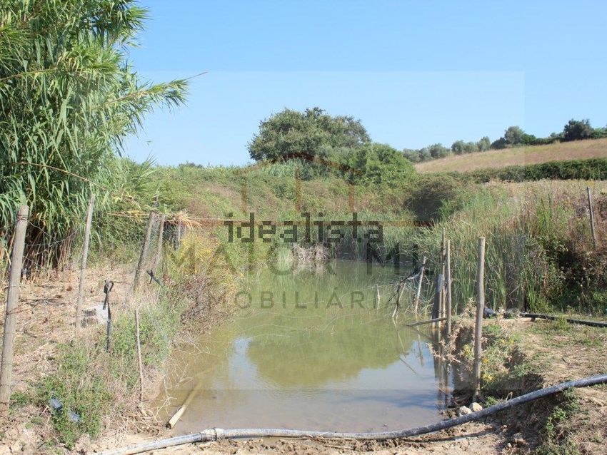 Moradia T3 à venda em Azambujeira e Malaqueijo, Rio Maior — foto 26
