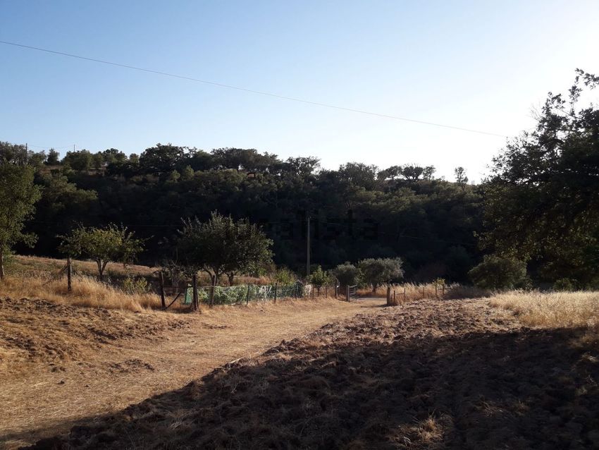 Moradia T2 à venda em São Martinho das Amoreiras, Odemira — foto 10