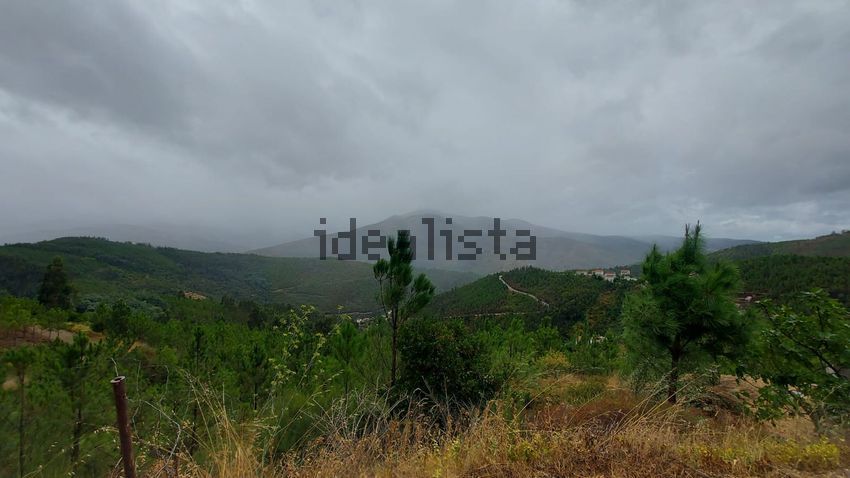 Moradia T3 à venda em São Gião, Oliveira do Hospital — foto 31