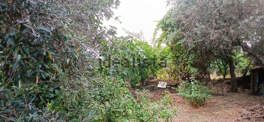 Moradia T2 à venda em Alcains, Castelo Branco — foto 12