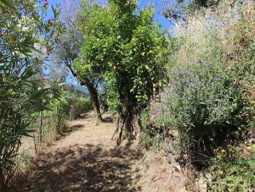 Moradia T2 à venda em Vila Cova de Alva e Anseriz, Arganil — foto 30