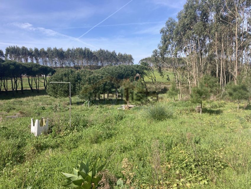 Moradia T2 à venda em Caldas da Rainha - Santo Onofre e Serra do Bouro, Caldas da Rainha — foto 33