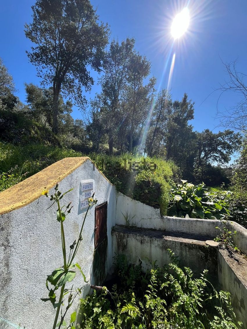 Moradia T3 à venda em Santiago de Montalegre, Sardoal — foto 10