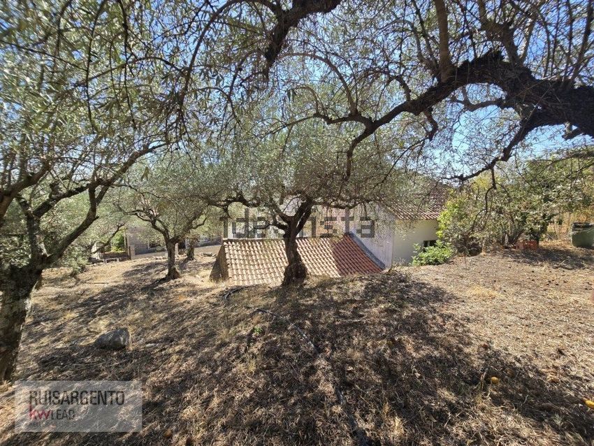 Moradia T4 à venda em Penha Garcia, Idanha-a-Nova — foto 39
