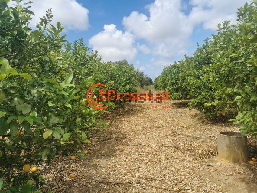 Moradia T6+ à venda em Estoi, Faro — foto 28