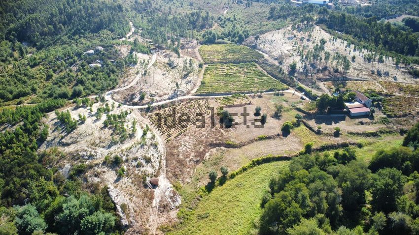Moradia T3 à venda em Mouraz e Vila Nova da Rainha, Tondela — foto 9