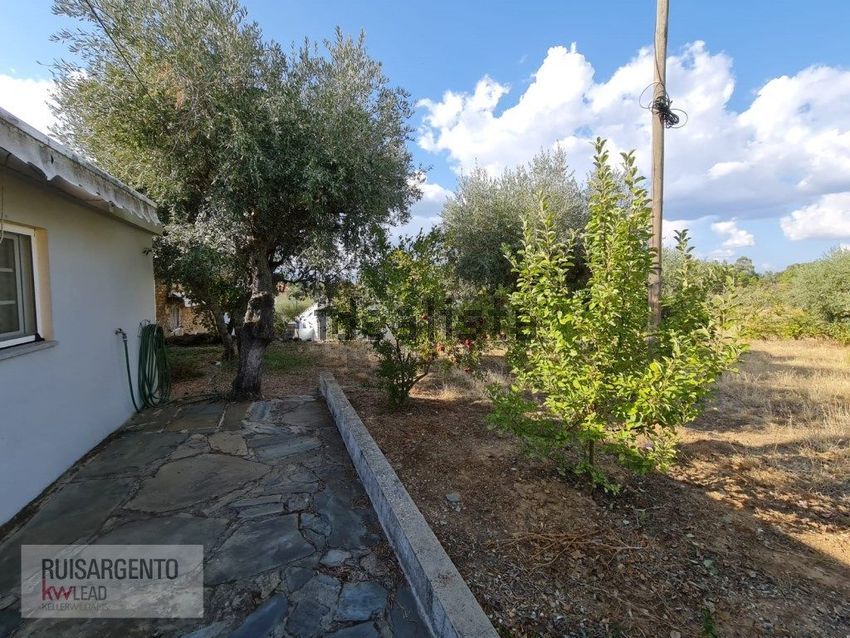 Moradia T3 à venda em Santo André das Tojeiras, Castelo Branco — foto 21