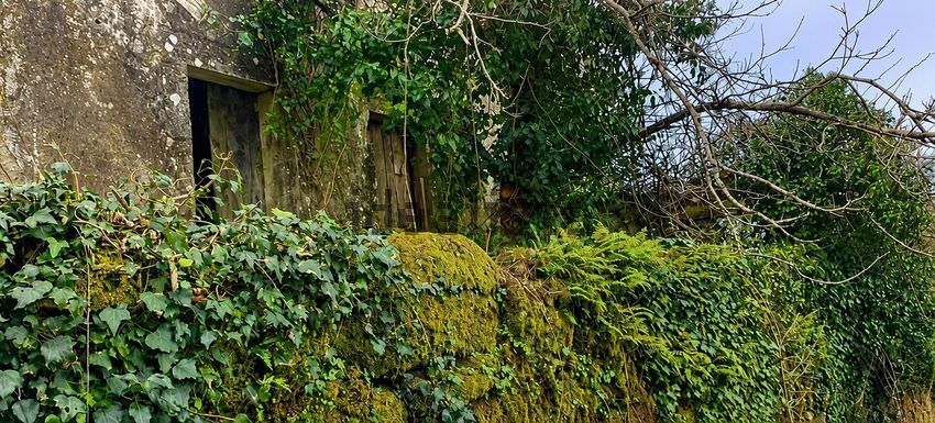 Moradia T3 à venda em Cambra e Carvalhal de Vermilhas, Vouzela — foto 5