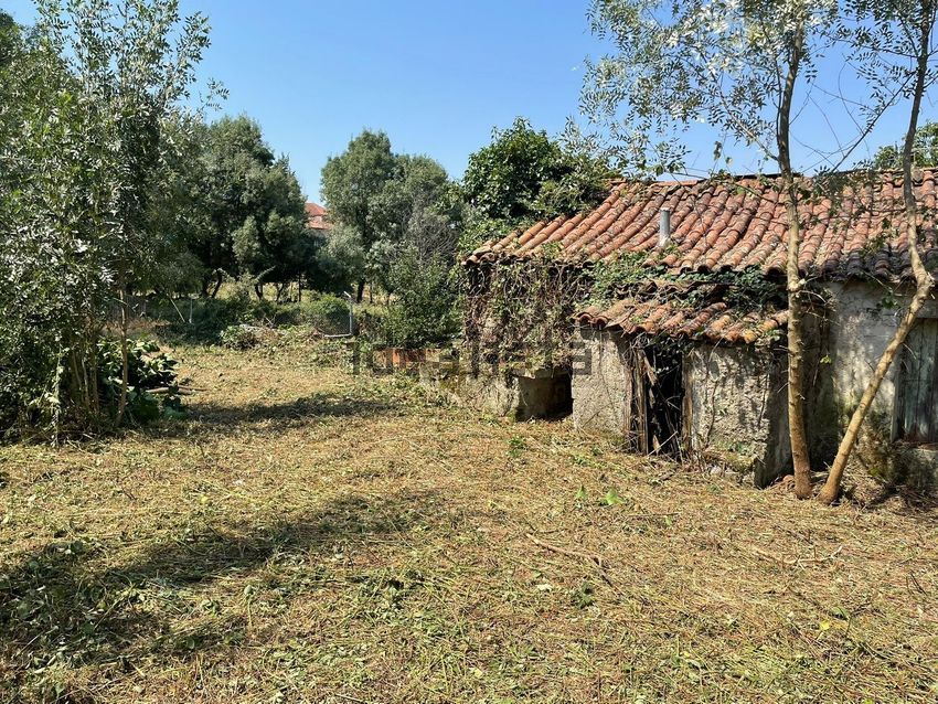 Moradia T3 à venda em Caçarelhos e Angueira, Vimioso — foto 19